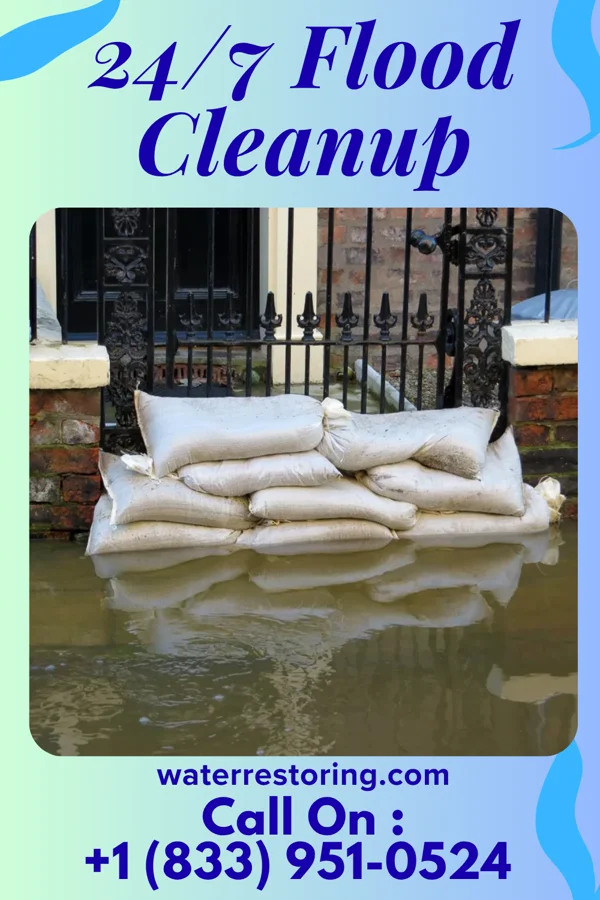 24/7 Flood Cleanup in Hampton, MN