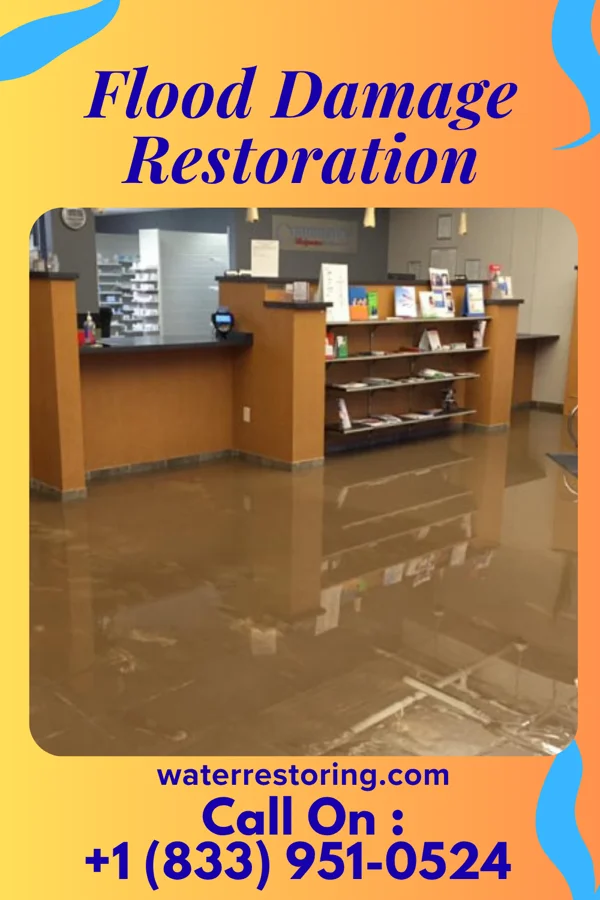 Flood Damage Restoration in Hampton, MN