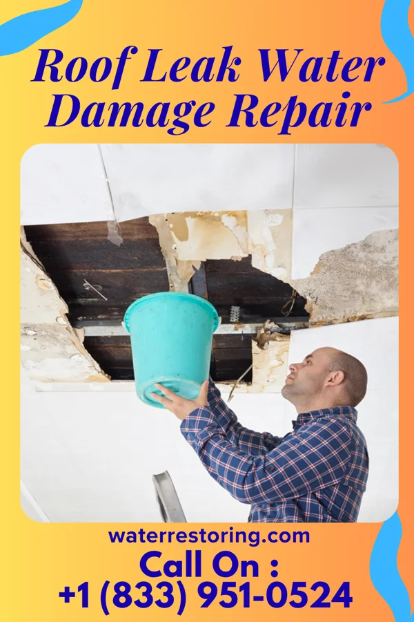 Roof Leak Water Damage Repair in Hampton, MN