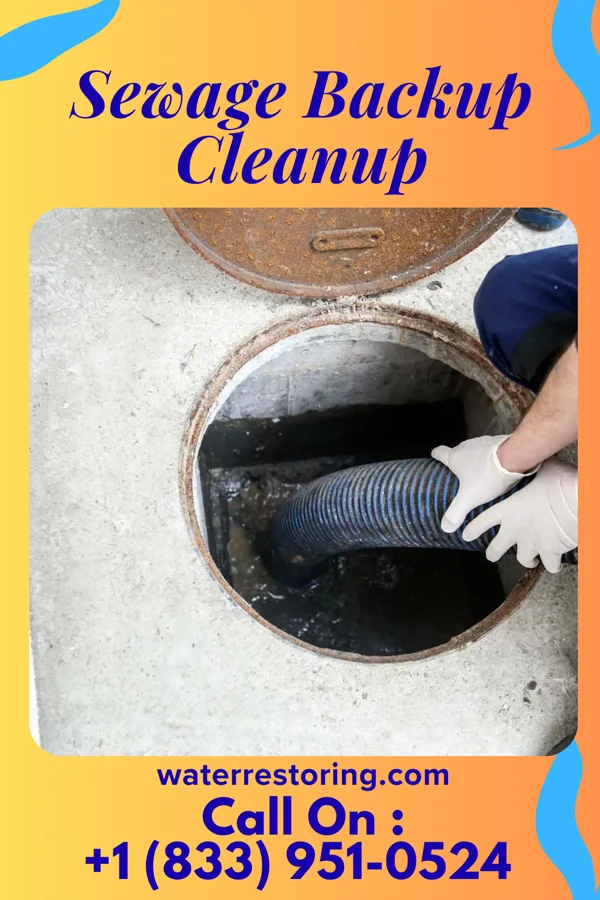 Sewage Backup Cleanup in Hampton, MN